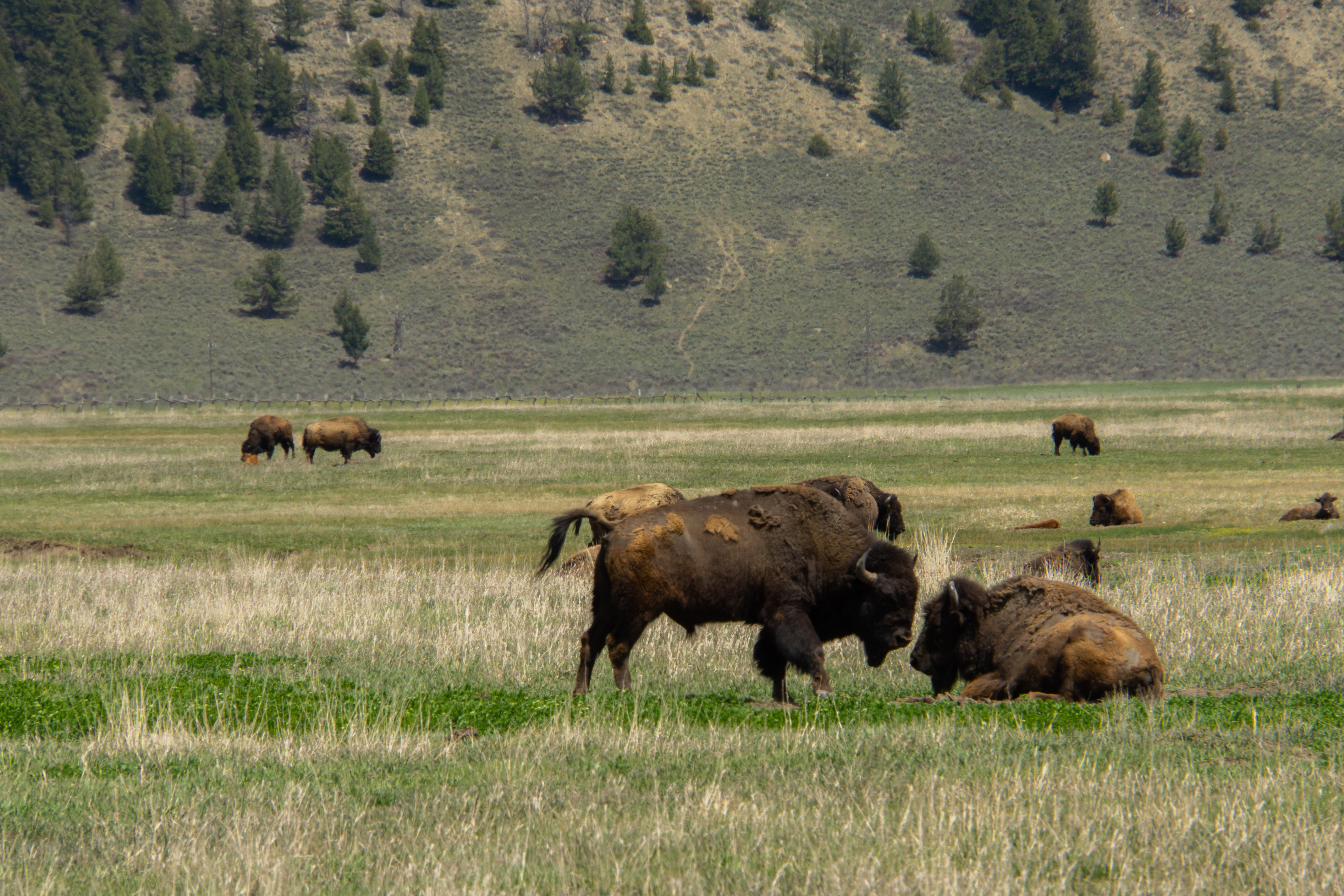 US National Parks 2022 43